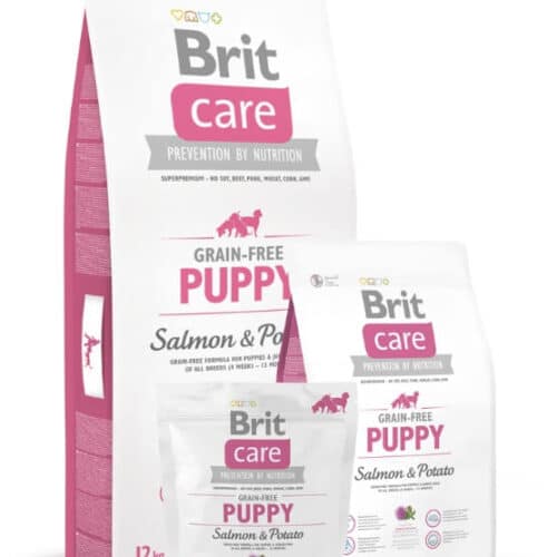 brit care puppy salmon and potato