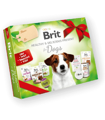 brit care dog dovanų dėžė šunims