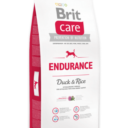 brit care endurance