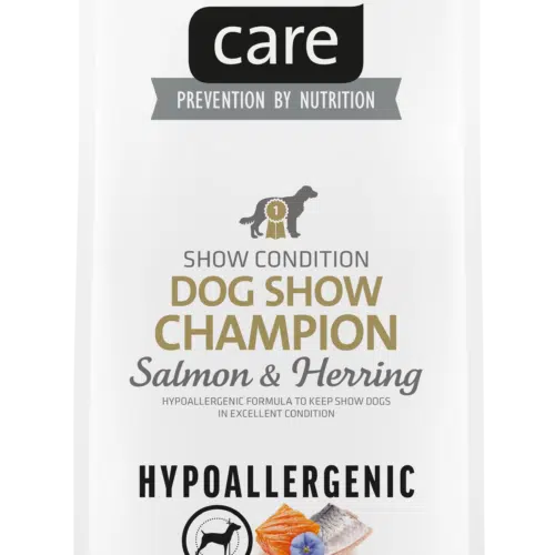brit care dog hypoallergenic dog show champion