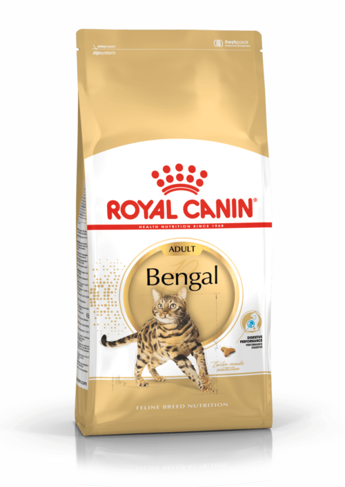 royal canin bengal cat food sausas maistas bengalų kačių veislei