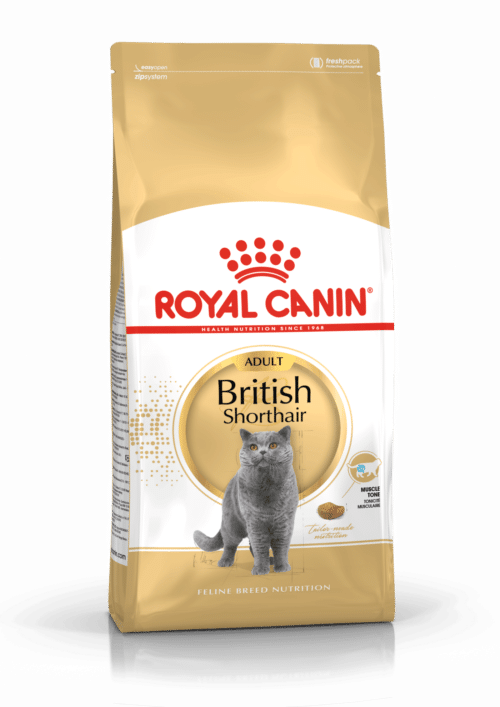 royal canin british shorthair cat food adult sausas maistas britų trumpaplaukių veislės katėms