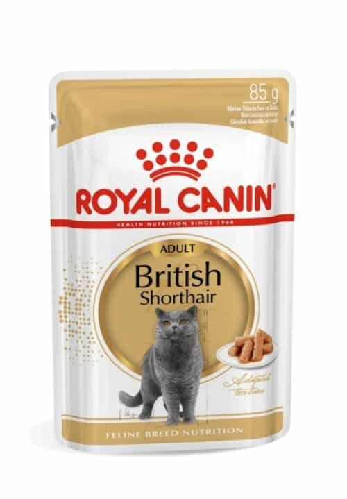 royal canin british shorthair konservai britų trumpaplaukių veislės katėms