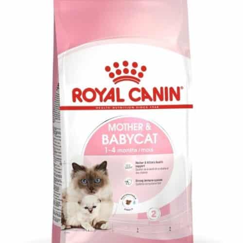 royal canin mother babycat cat food sausas maistas žindinčioms katėms ir kačiukams