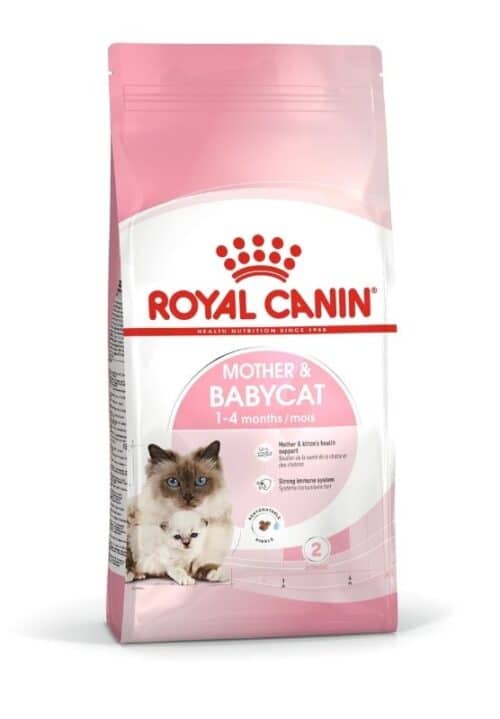royal canin mother babycat cat food sausas maistas žindinčioms katėms ir kačiukams