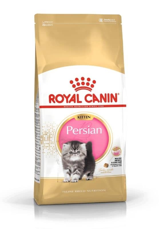 royal canin persian kitten sausas persų veislės jaunų kačių maistas