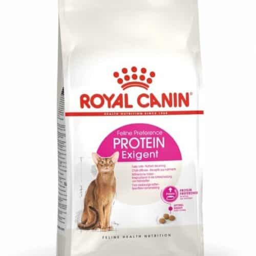 royal canin protein exigent cat food sausas išrankių kačių maistas su dideliu kiekiu baltymų