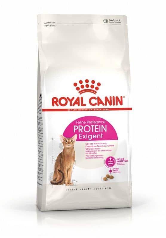 royal canin protein exigent cat food sausas išrankių kačių maistas su dideliu kiekiu baltymų