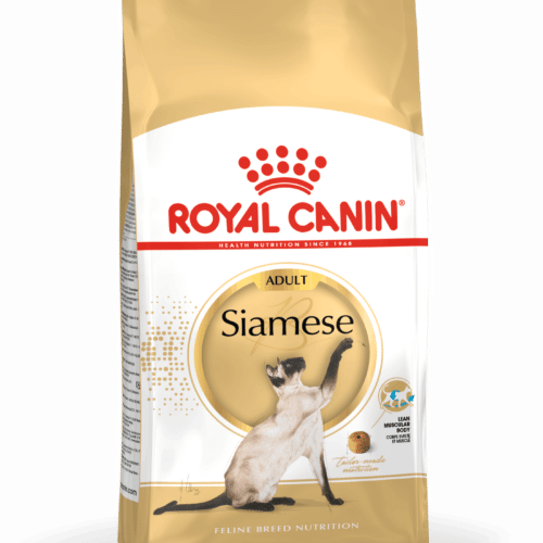Royal Canin Siamese Cat Food sausas Siamo veislės kačių maistas