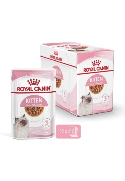 royal canin kitten in gravy konservai kačiukams padaže