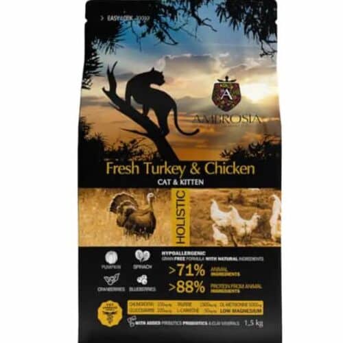 AMBROSIA grain-free Turkey & Fresh Chicken Cat&Kitten begrūdis sausas maistas katėms ir kačiukams