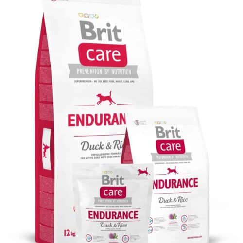 brit care endurance šunų maistas su antiena