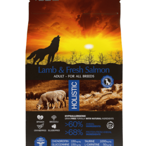 4869 ambrosia grain free lamb fresh salmon adult begrudis erienos ir sviezios lasisos sausas maistas