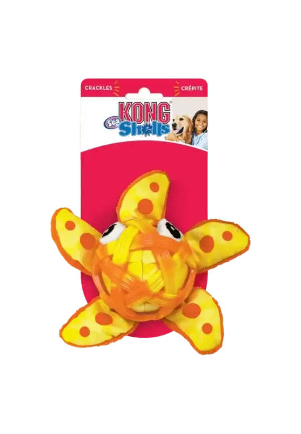 kong sea shells starfish dog toy