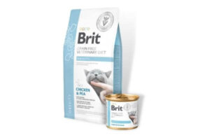 BRIT Veterinary Diet OBESITY Cat