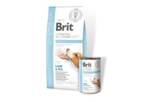BRIT Grain Free Veterinary Diet OBESITY šunims