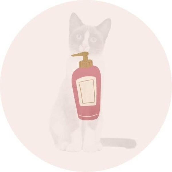 🧹 higienos priemonės katėms