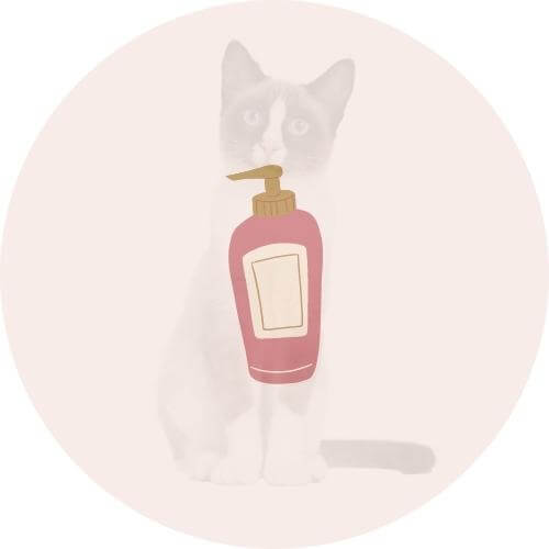 higienos priemonės katėms