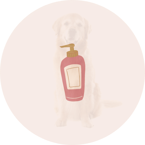 higienos priemonės šunims