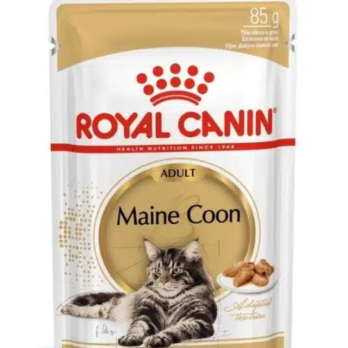 Royal Canin Maine Coon Wet konservai Meino meškėno veislės katėms 12 x 0,85g