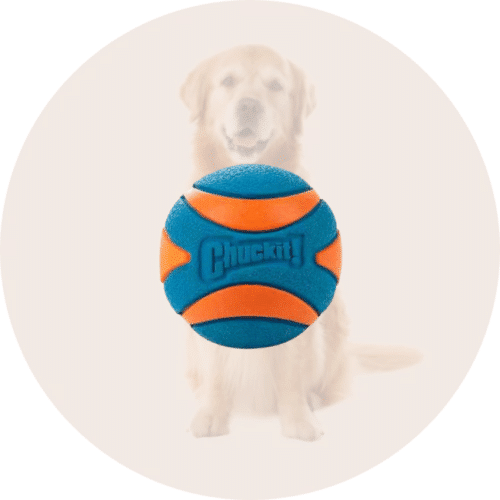 🐕 kamuoliukai žaislai šunims