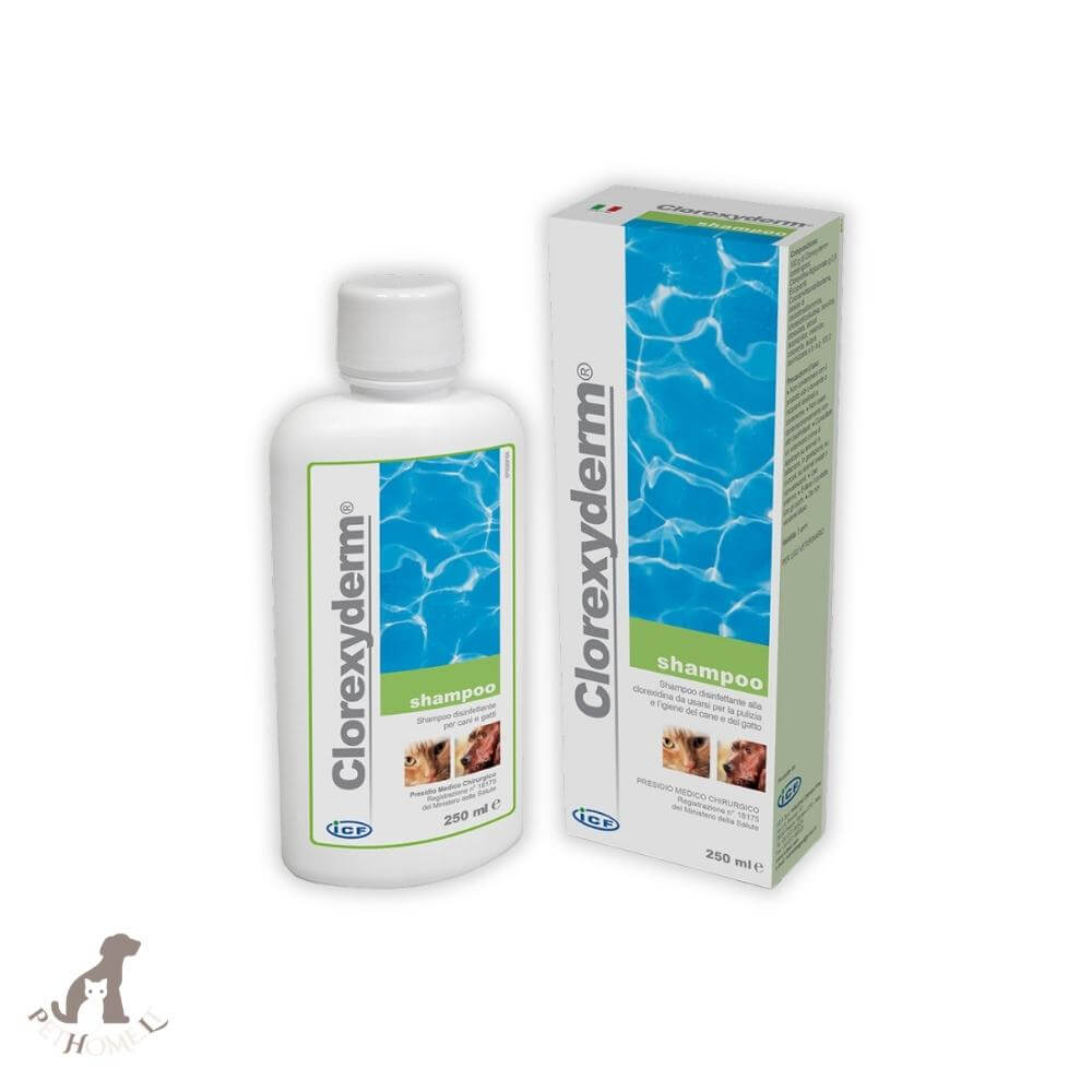 icf clorexyderm shampoo 250ml forte 4%