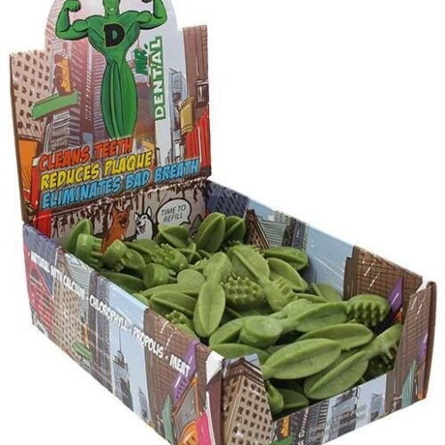 Mr. Dental skanėstai šunims - šepetukas su kalciu ir chlorofilu