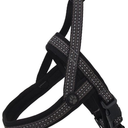 Active Dog Neoprene L (pilka) 3,2x72-90cm neopreno petnešos šunims