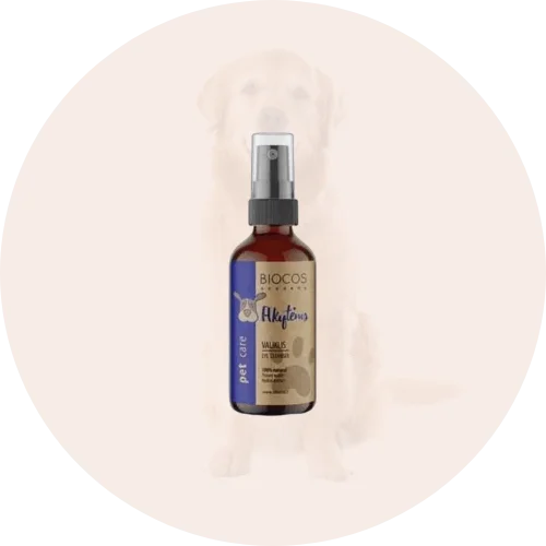 Šunų akių valymo ir priežiūros priemonės