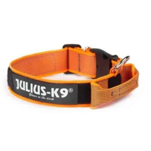 Julius K-9 Color & Gray with handle Antkaklis šunims su rankena (oranžinis)