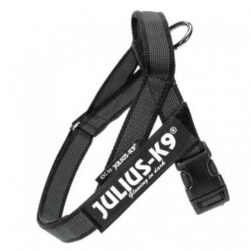 Julius-K9 IDC Color & Gray petnešos šunims (juodos)