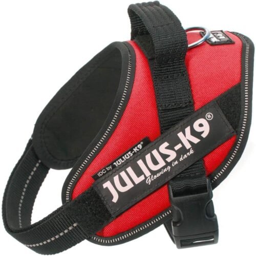 Julius K-9 IDC Powerharness petnešos šunims (raudona)