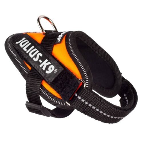 Julius K-9 IDC Powerharness petnešos šunims (oranžinė)