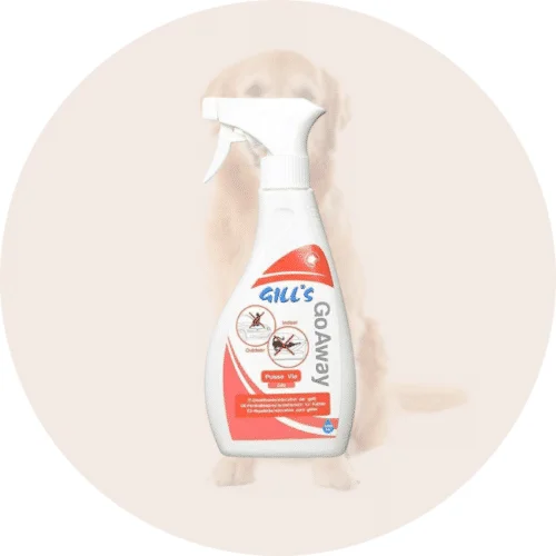 Atbaidymo priemonės šunims