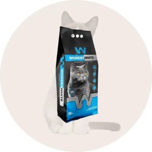 Bentonitinis kraikas katėms