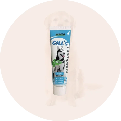 Šunų dantų valymo ir priežiūros priemonės