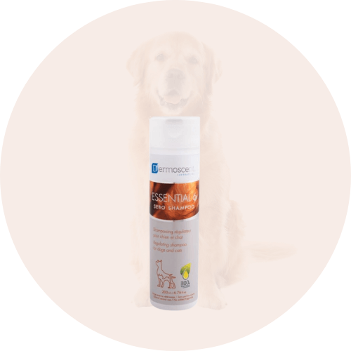 Gydomieji šampūnai šunims