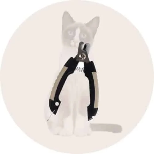 Kačių letenėlių ir pėdučių priežiūros priemonės