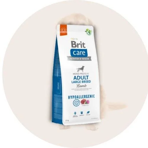 Sausas maistas šunims