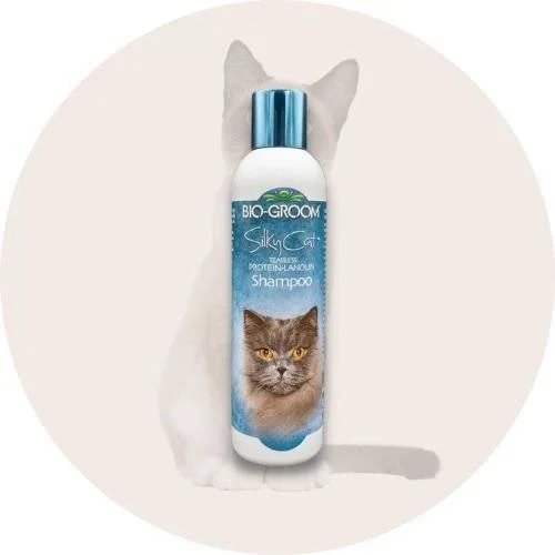 Priežiūros priemonės katėms