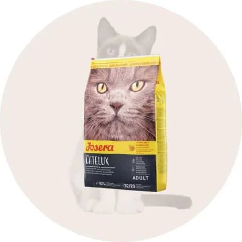 Sausas maistas katėms