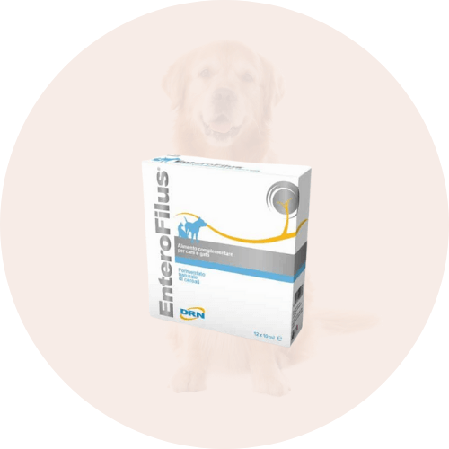 Šunų virškinimui vitaminai ir papildai (šalinimo sistemai)