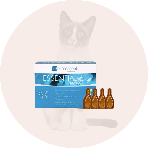 Vitaminai katėms nuo plaukų slinkimo